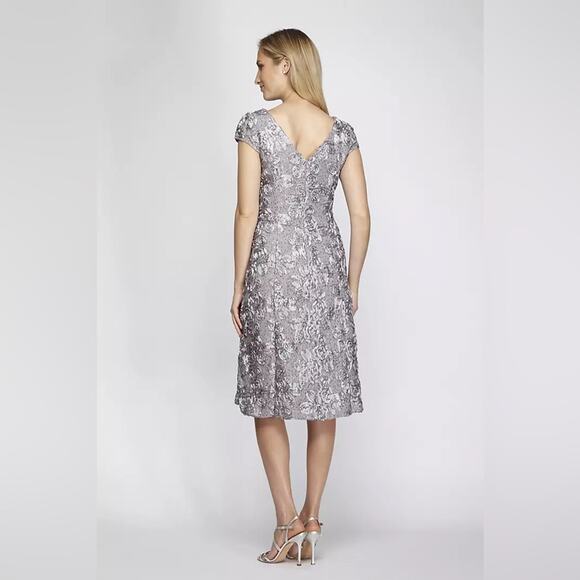 NWT ALEX EVENINGS Short A-Line Applique Dress with Cap Sleeves Dove Gray Size 12 - Picture 2 of 5